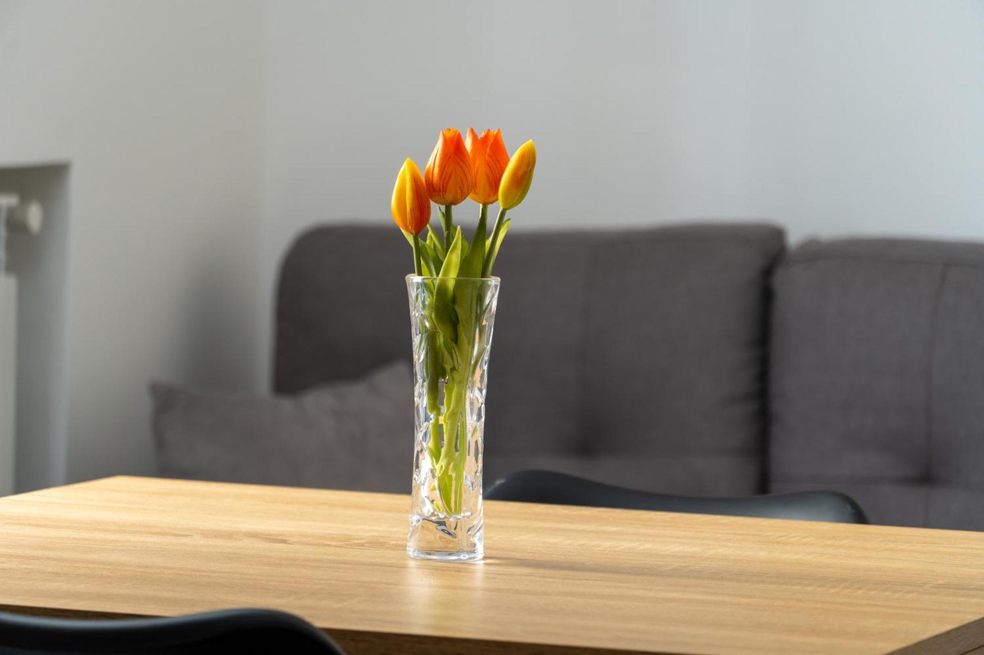 Marle Apartment Palermo Ngoại thất bức ảnh
